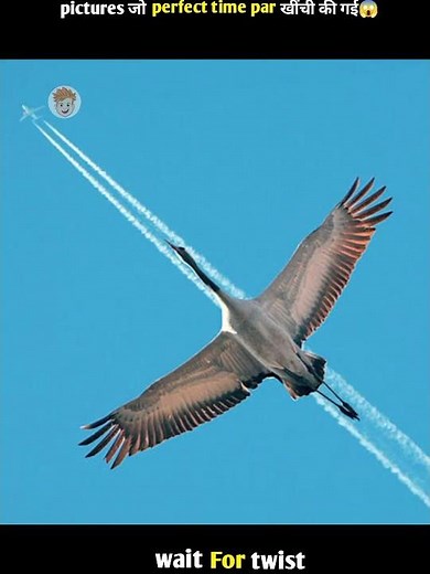 गज़ब के illusions जो आपके होश उड़ा देगे 😱😱 // ‪@RGFACTBOY‬ ‪@FactoHolic‬ #shorts #trending