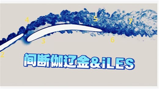 传统模型在这里失灵了！用间断伽辽金与iLES透视串列叶片的真实流动