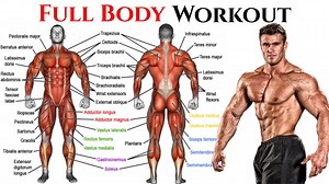 The Best Exercises for a Full-Body Workout The PERFECT Total Body Workout