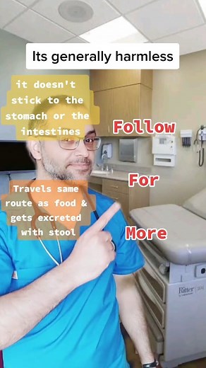 7 years in the stomach?? 🧐 #medicalfacts #chewinggum #doctor #mythbusters #educate #medicalmyths | Doctor Siyamak Saleh