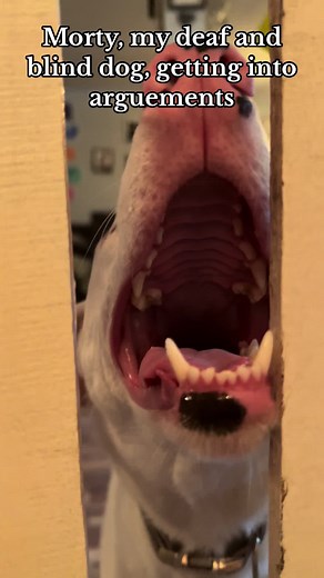 Echobadlistener on TikTok