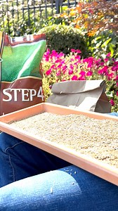 Fall Lawn Seeding & Prep 🌱🍂 Fall is the perfect time to give your lawn a boost! Even though we’re experiencing a bit of a dry spell, with the right steps, you can still set the stage for a lush, green lawn next spring. 💡 Here’s How to Prep for Success: 💨Aerate Your Lawn: Give your grass roots some breathing room! Aerating helps water and nutrients reach down deep, especially important during a drought. 💧Water Smart: Timing is everything. Water in the early morning or late evening to reduce 