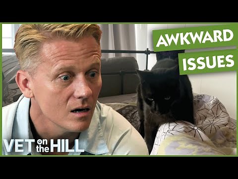 The Most Embarrassing Pet Problems 😳 | Vet On The Hill