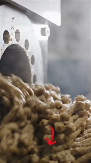 What Happens Inside a Cat Food Factory?