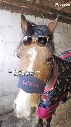 haha#silly #myponyforever #kidstiktok #pony #love