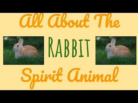 🌹🌙 THE RABBIT SPIRIT🌙🌹The Rabbit as your Spirit Animal & its Symbolism