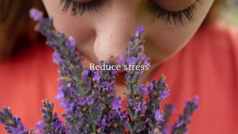 JCLOUD Smart Scent Air Machine with Cold-Air Tech for Home, Hotel Scent Diffuser, Waterless Essential Oil Diffuser 300ML, HVAC Scent Diffuser for Essential Oils for Large Room, Office, Spa