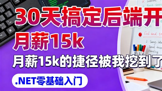 🔥【零基础入门.NET】30 天搞定后端开发！月薪 15k 的捷径被我挖到了！