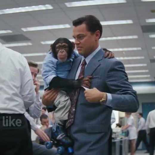 Chimpanzee Used in 'Wolf of Wall Street' Perform Ridiculous Stunts for Cheap Laughs