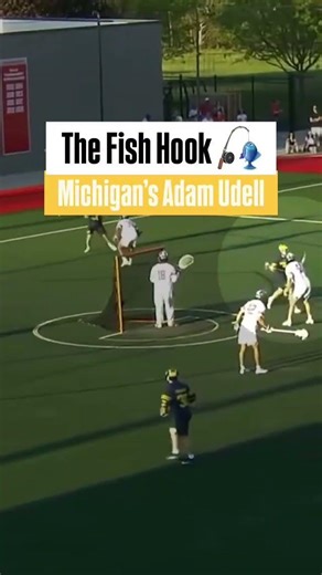 𝙏𝙝𝙚 𝙁𝙞𝙨𝙝 𝙃𝙤𝙤𝙠 🎣 #lacrosse