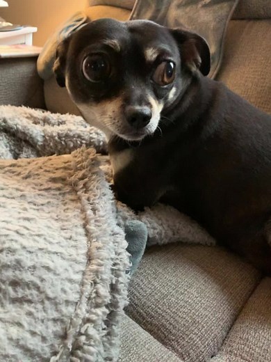 Doug Perry on TikTok