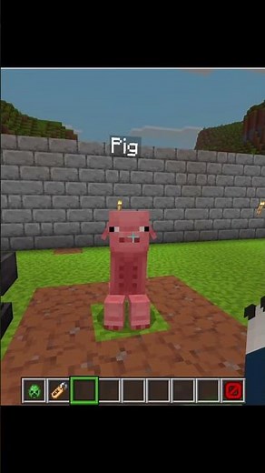 Pig Creeper in Minecraft Actions & Stuff! #minecraft #actionsandstuff