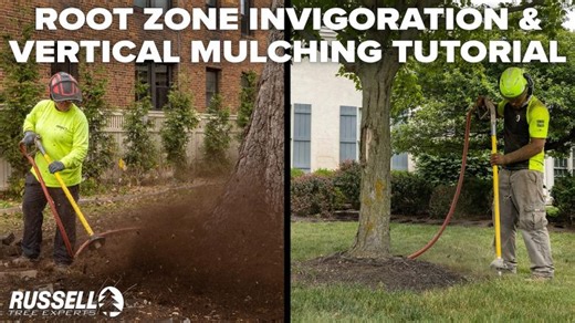 Root Zone Invigoration Vertical Mulching Techniques | Russell Tree Experts posted on the topic | LinkedIn