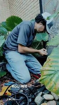 Underwater Fountain Electrical Splice #shorts