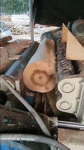 How Our Wood Peeling Machine Creates Perfect Rounds