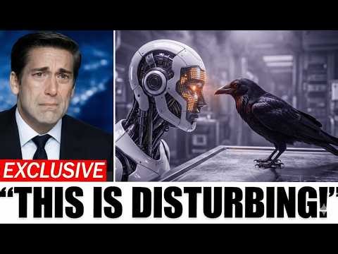 "AI Decodes Crow Language... Is What It Revealed About Humans Truly Terrifying?"
