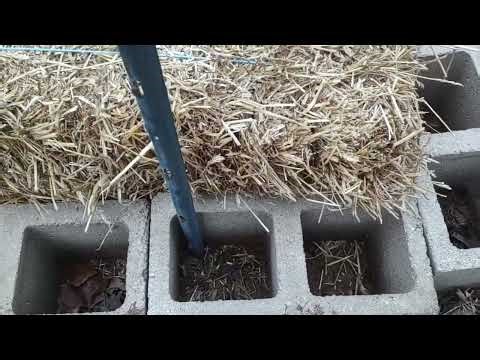 Quick compost bin with what's at hand