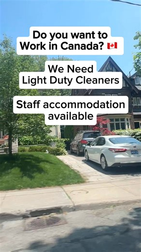 4K views · 62 reactions |  Hiring Light Duty Cleaners. https://www.canadacareersite.com/job/light-duty-cleaner-1421783-664-0 | Zid Canada | Facebook