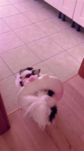 una baddie #annapepe #hellokitty #baddie