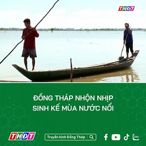 125K views · 2.1K reactions | Đồng Tháp nhộn nhịp sinh kế mùa nước nổi | Truyền hình Đồng Tháp | Facebook