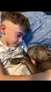 824K views · 37K reactions | The hardest goodbye Harley’s not known...