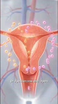 ✨ Frozen Embryo Transfer (FET) — A Journey of Hope 💛
