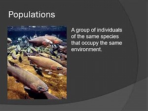 2.1 Populations and Polymorphisms