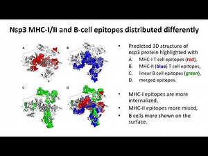 Model Informed Drug Development Approaches for Immunogenicity Assessments Workshop
