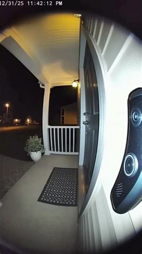 Raccoon Steals Doorbell Camera… Caught in 4K 😭🦝