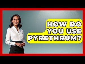 How Do You Use Pyrethrum? - Insects and Invaders