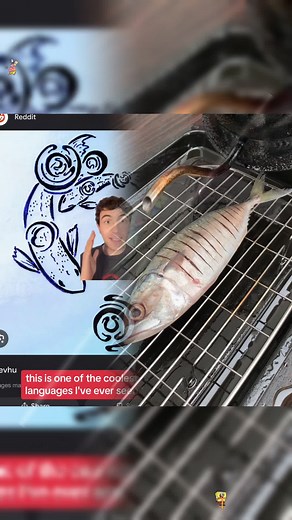 Exploring the Beauty of Constructed Languages