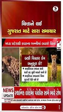 Gujarat Wild life | ચિત્તાને લઈ ગુજરાત માટે સારા સમાચાર | Sandesh News