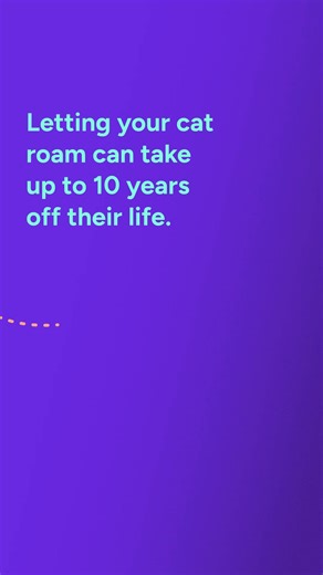 12K views | Domestic cats who roam cross an average of 4 roads per day increasing their risk of injury or death. Fractures caused by road accidents are one of the top 5 reasons cats go to the vet in Australia, costing an average of $836 per visit. Understand the risks in your area and make a plan to keep your cat safe. | RSPCA Victoria | Facebook