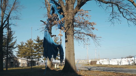 Learn the origins of Pedigo Submission Fighting in Mt. Vernon, Illinois! | FloGrappling