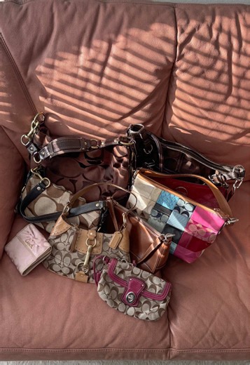 Chasing the Golden Hour with Vintage Coach Bags