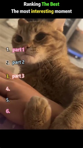 This is so funny, l couldn't stop laughing #funny#doddlersoft#funnyvideos#duet