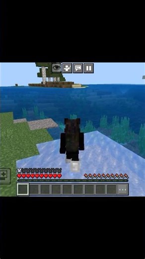 I will run until I find Woodland mansion.||minecraft challenge||