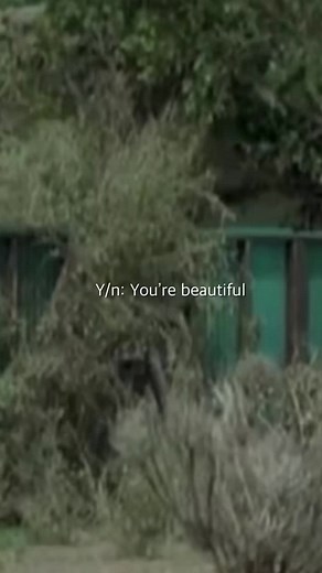 Reply to @sandlot.b Benny > yeah-yeah sorry #bennyrodriguez #benny #WelcomeBack #fyp #xzybca #copylink #thesandlot #edit #viral