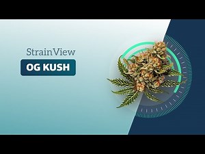 OG Kush - Strainview