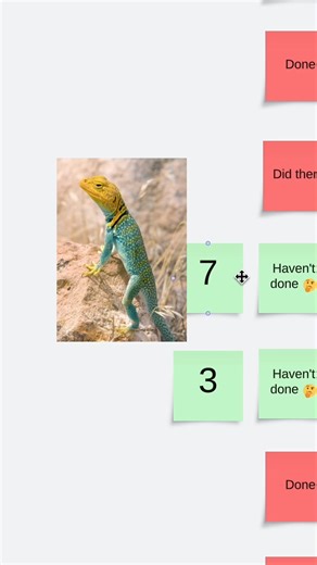 43K views · 974 reactions | Time to pick the next animal for Lucid to explain... This next one coming soon is for all of you BEAR enthusiasts! ‍❄️ #pandabears #bears #lucidexplains #lucidchart #lucidspark | Lucid Software | Facebook
