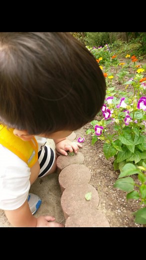 ドラべ症候群と双子の日常