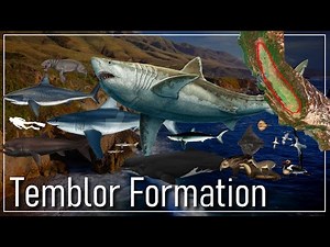 🇺🇲 A Californian Sea, 20 million years ago