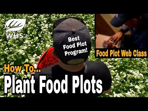 How To Plant Food Plots - Is OUT!