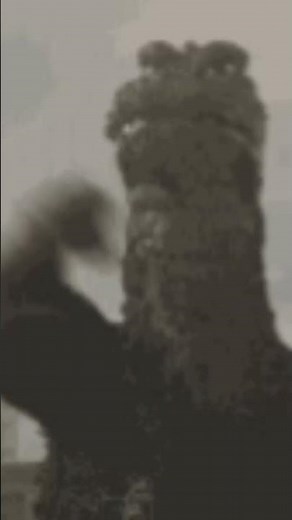 Godzilla vs gigan 1972#history