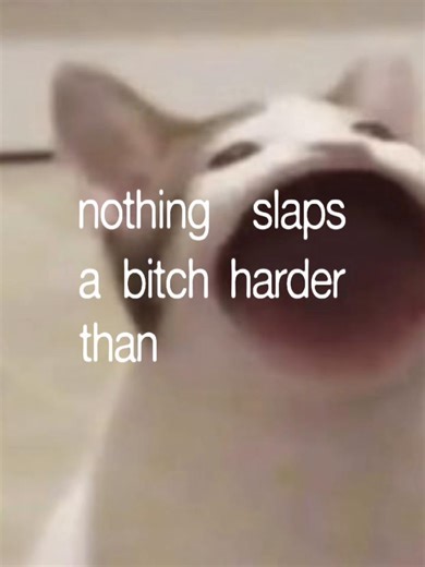 Catzilla🍔YT (@catzillayt6)’s videos with original sound - .