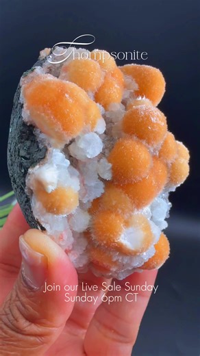 Thompsonite is one of the most mesmerizing members of the Zeolite family, often featuring stunning, radiating sprays or spheres (spherulites) of delicate needles. • Rare Formation: It is a relatively rare mineral, often found in the cavities (vesicles) of basalt and other volcanic rocks, making its discovery a true treat! • Unique Structure: Thompsonite is known for its distinctive botryoidal (grape-like) or radial habit, creating those stunning visual bursts you see in the reel. • Primary Locat