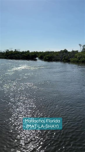 Matlacha, Florida. The dead mangroves are still from hurricane Ian where the saltwater came in and damaged them.. This town was destroyed by Ian. ##ian##matlacha##island##sun##nature