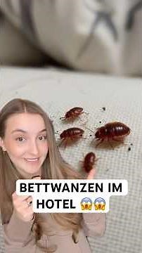 Bettwanzen im Hotel erkennen – Tipps & Bettwanzenfallen für einen sicheren Aufenthalt! ✅