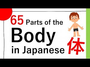 [Vocabulary] 65 Parts of the Body in Japanese / 体に関する日本語65個（からだにかんするにほんご65こ） [#10]