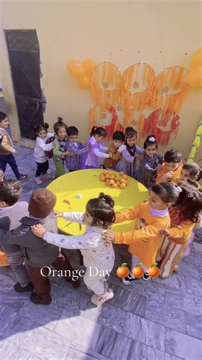 Celebrate Orange Day: Learn About the Color Orange